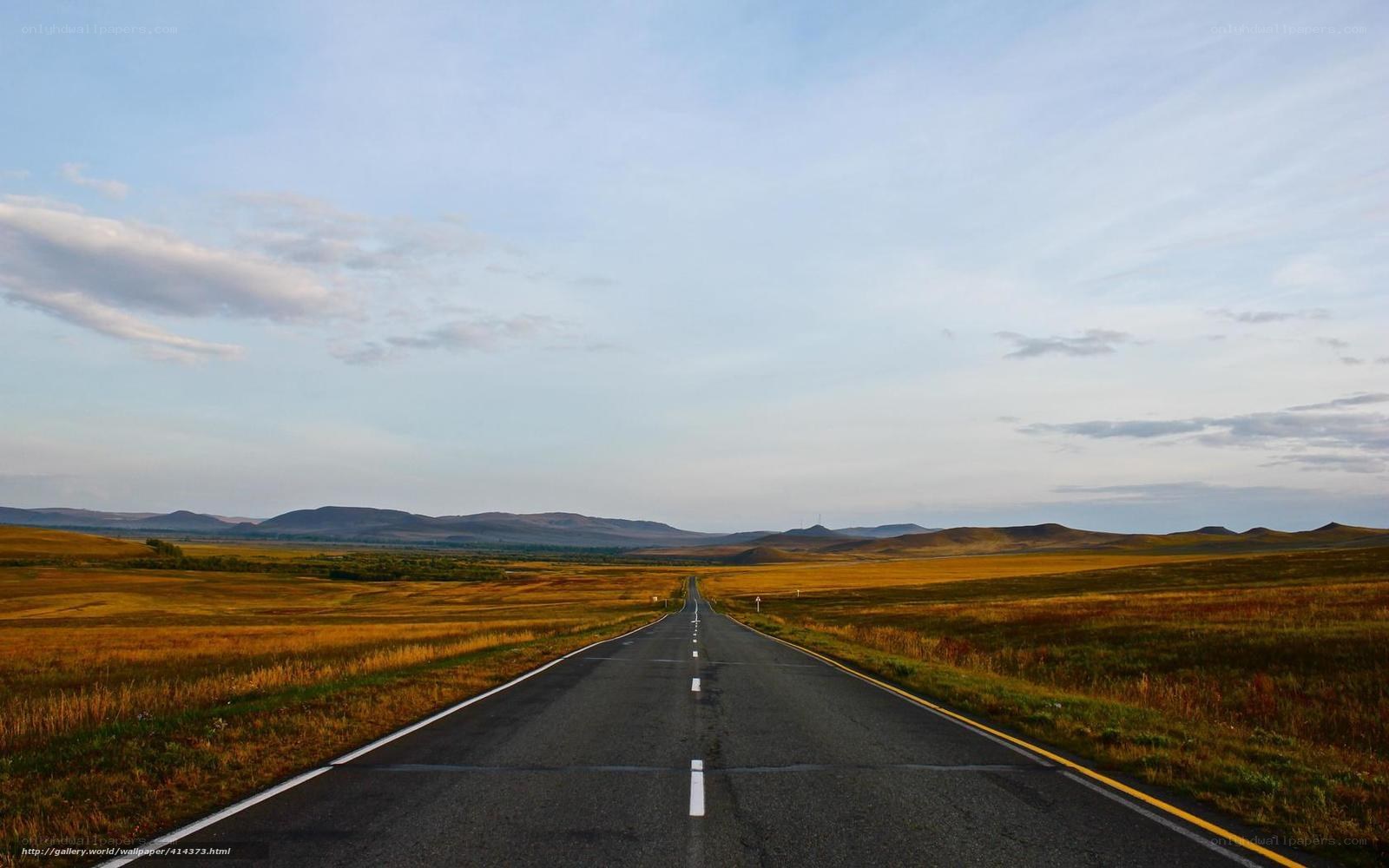 Long road through golden steppe