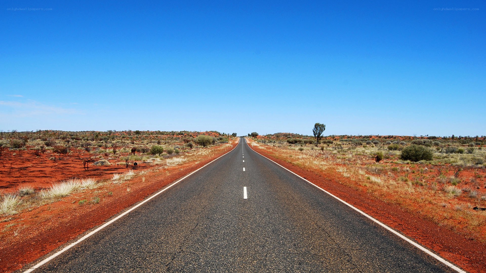 Long road through red desert