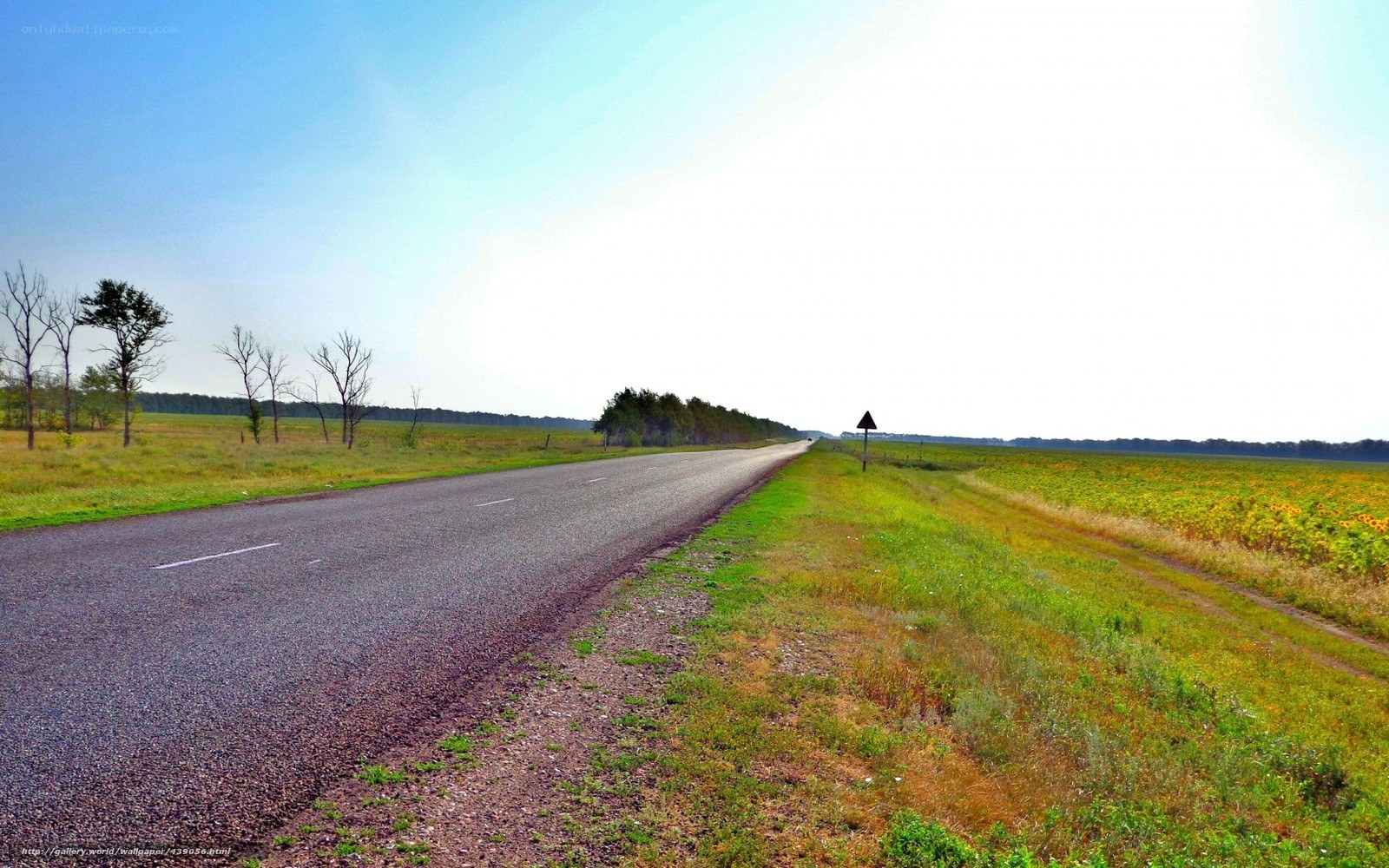 Long road through rural fields