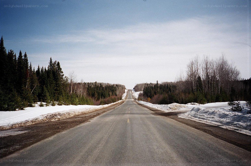 Long road through snowy forest