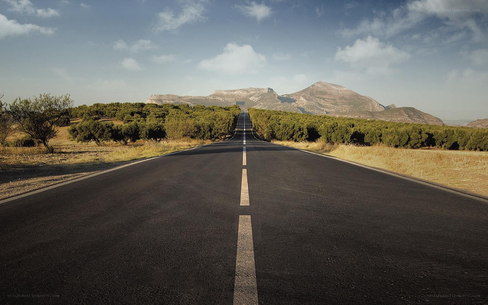 Long road to the mountains