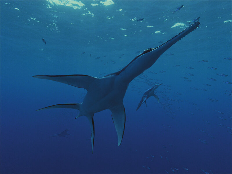Long-snouted Marine Reptile
