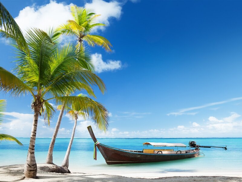 Long-tail Boat on Beach — Blue, Serene, Afternoon, Photograph, Palm Trees, Ocean, Sky