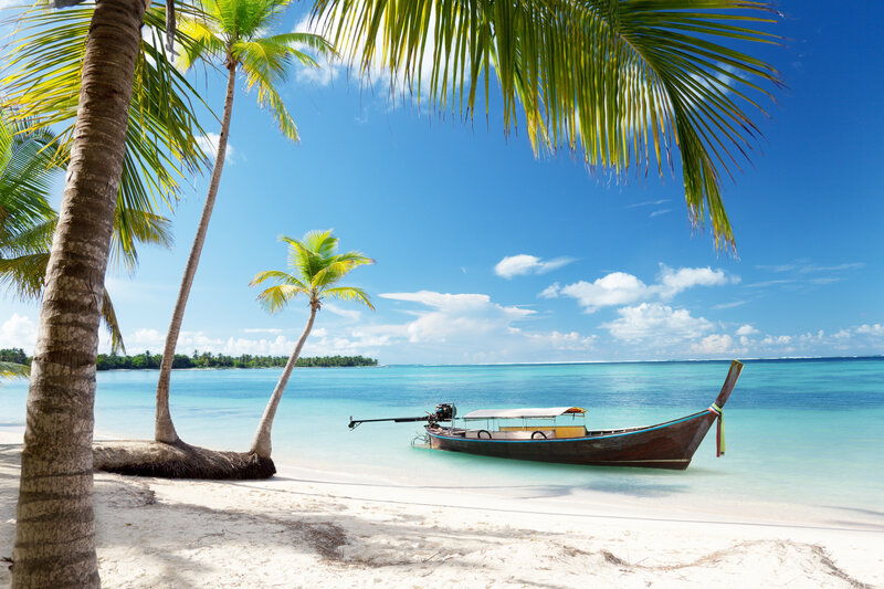 Long-tail Boat on Beach — Blue, Serene, Afternoon, Photograph, Palm Trees