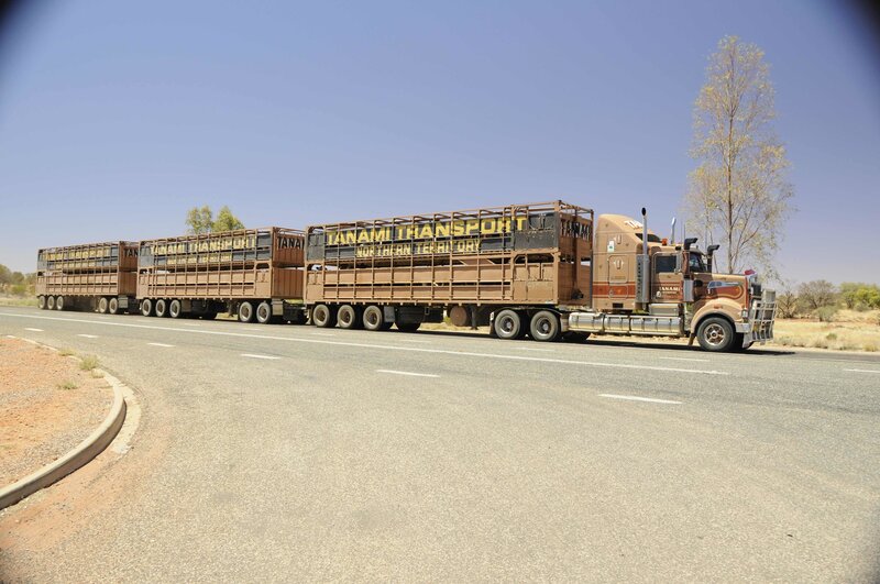 Long truck convoy on a desert road