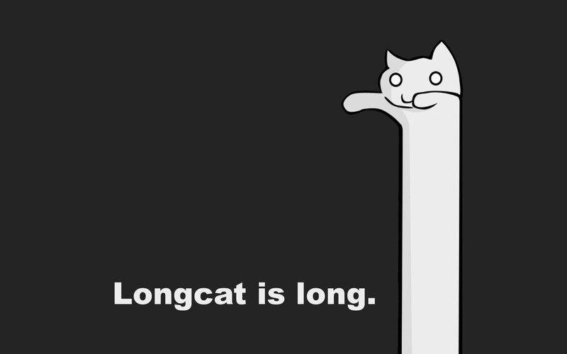 Long White Cat — Black