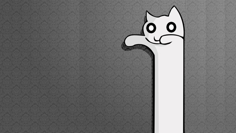 Long White Cat — Gray