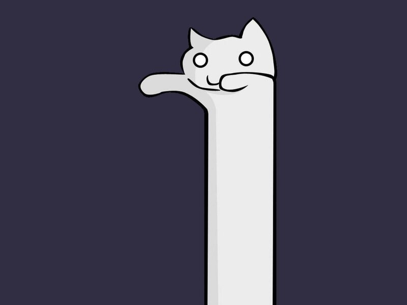Long White Cat — Playful