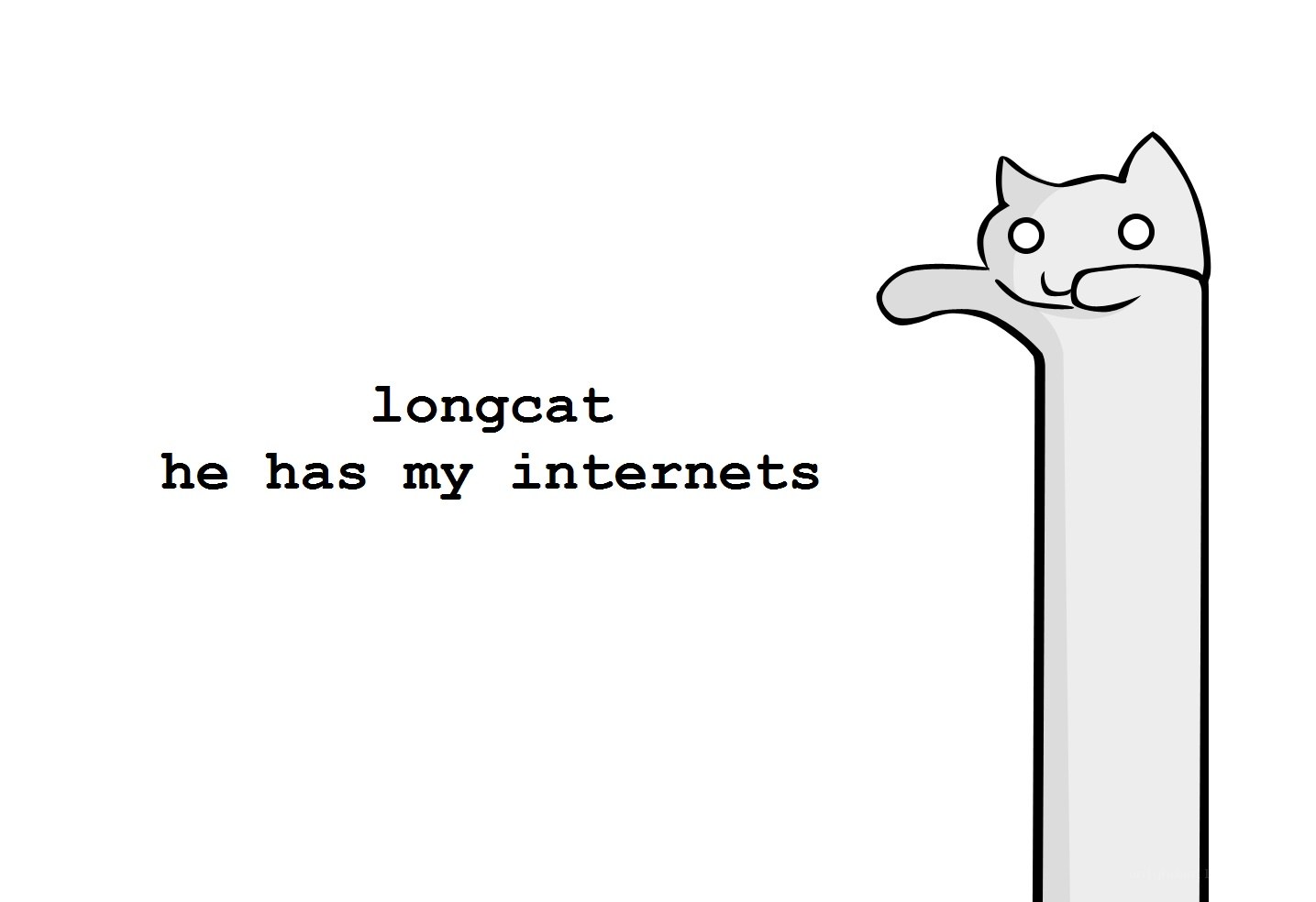 longcat has my internets