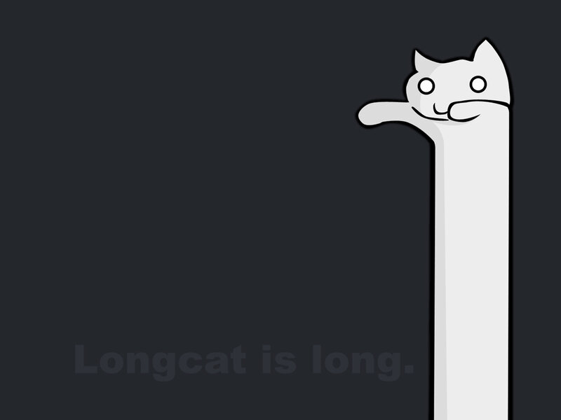 Longcat is long