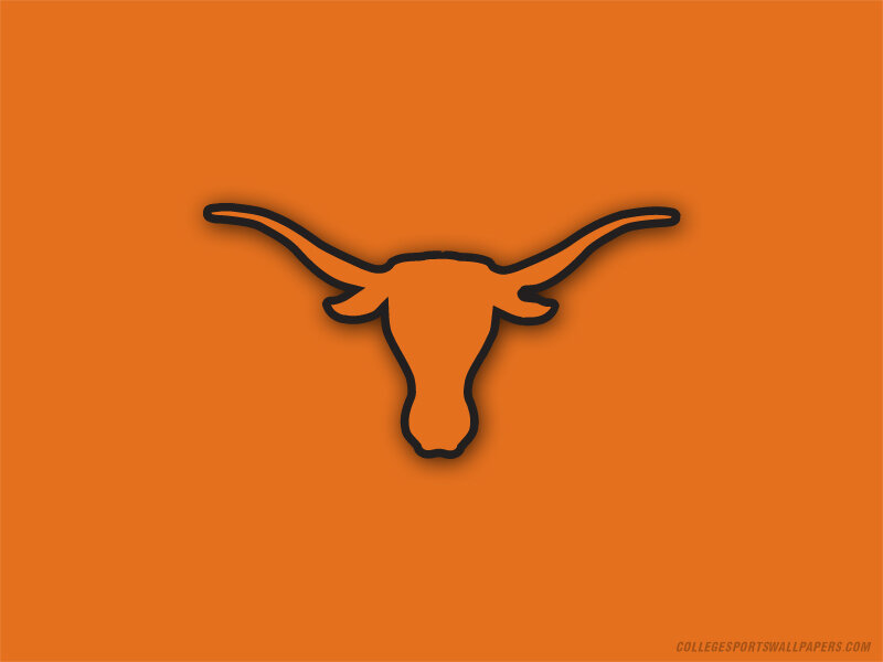 Longhorn Bull Head