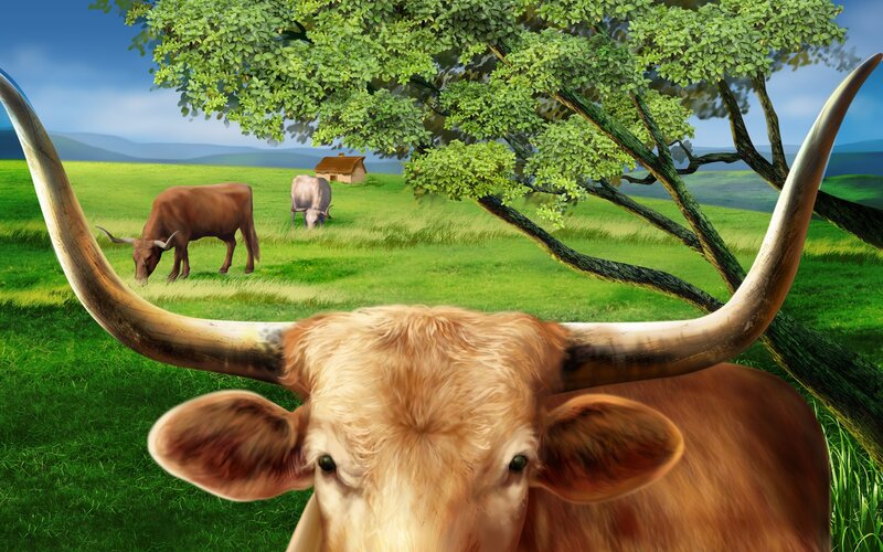 Longhorn cow in a green field