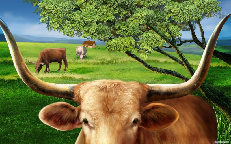 Longhorn Cow in Field — Green