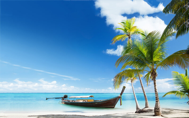 Longtail Boat on Beach — Blue, Serene, Afternoon, Photograph, Palm Trees, Ocean