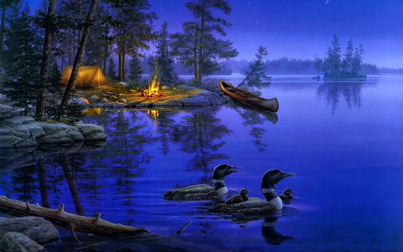 Loon Family on Lake — Blue