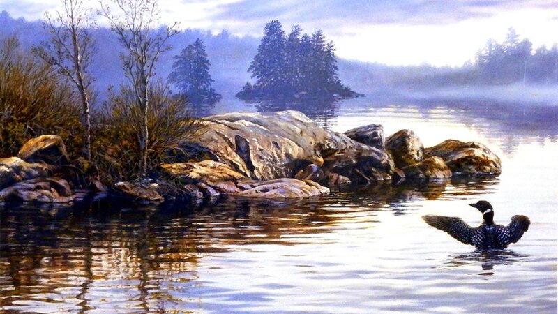 Loon on a Lake — Blue