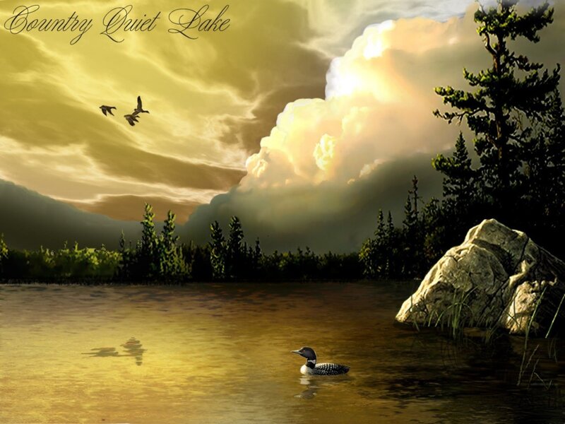 Loon on a Lake