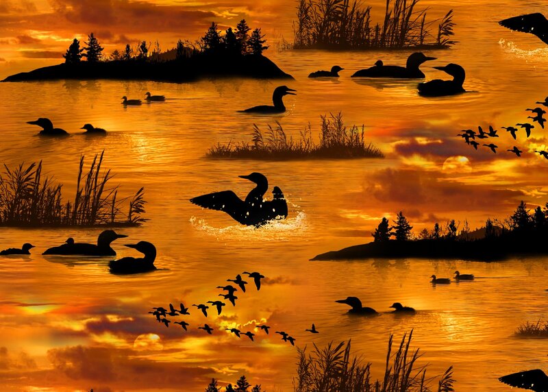 Loon Silhouettes on Water