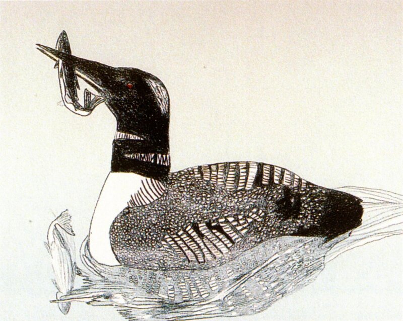 Loon with fish in beak
