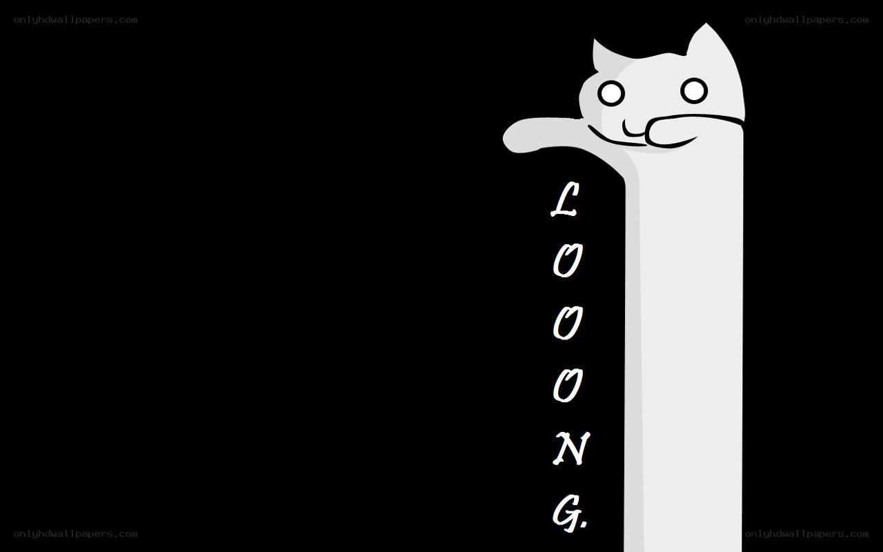 Loong the cat character