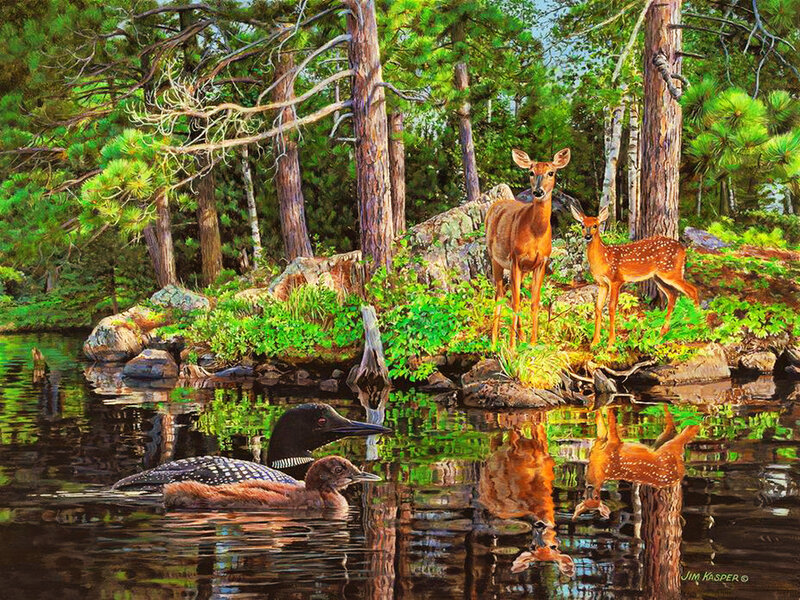 Loons and Deer in Forest