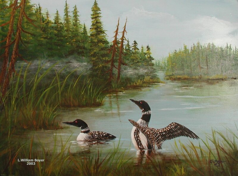 Loons on a forest lake