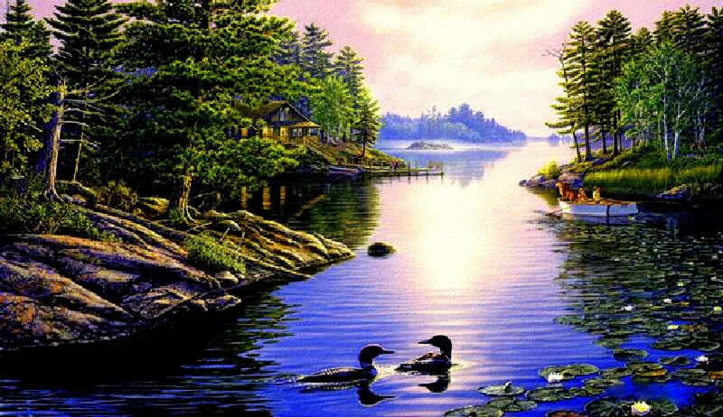 Loons on a Lake — Blue