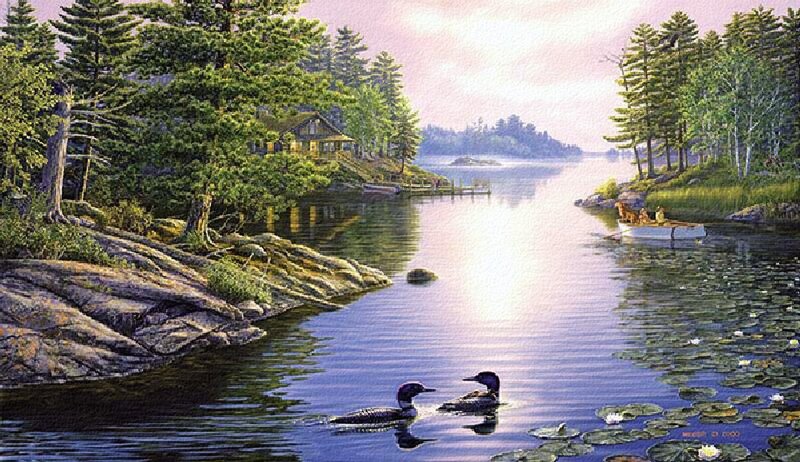 Loons on a Lake — Green