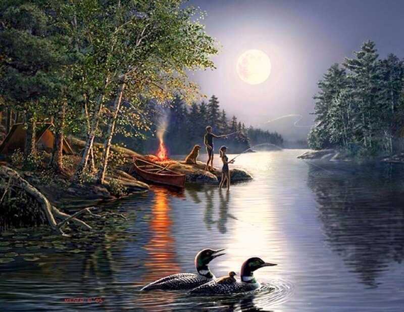 Loons on Lake