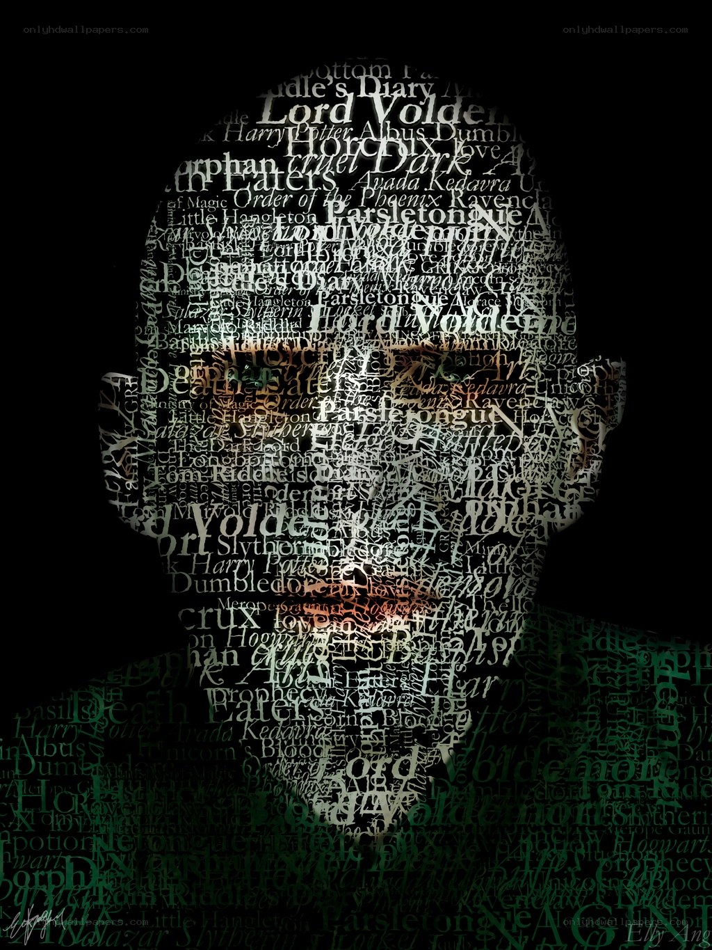 Lord Voldemort text art