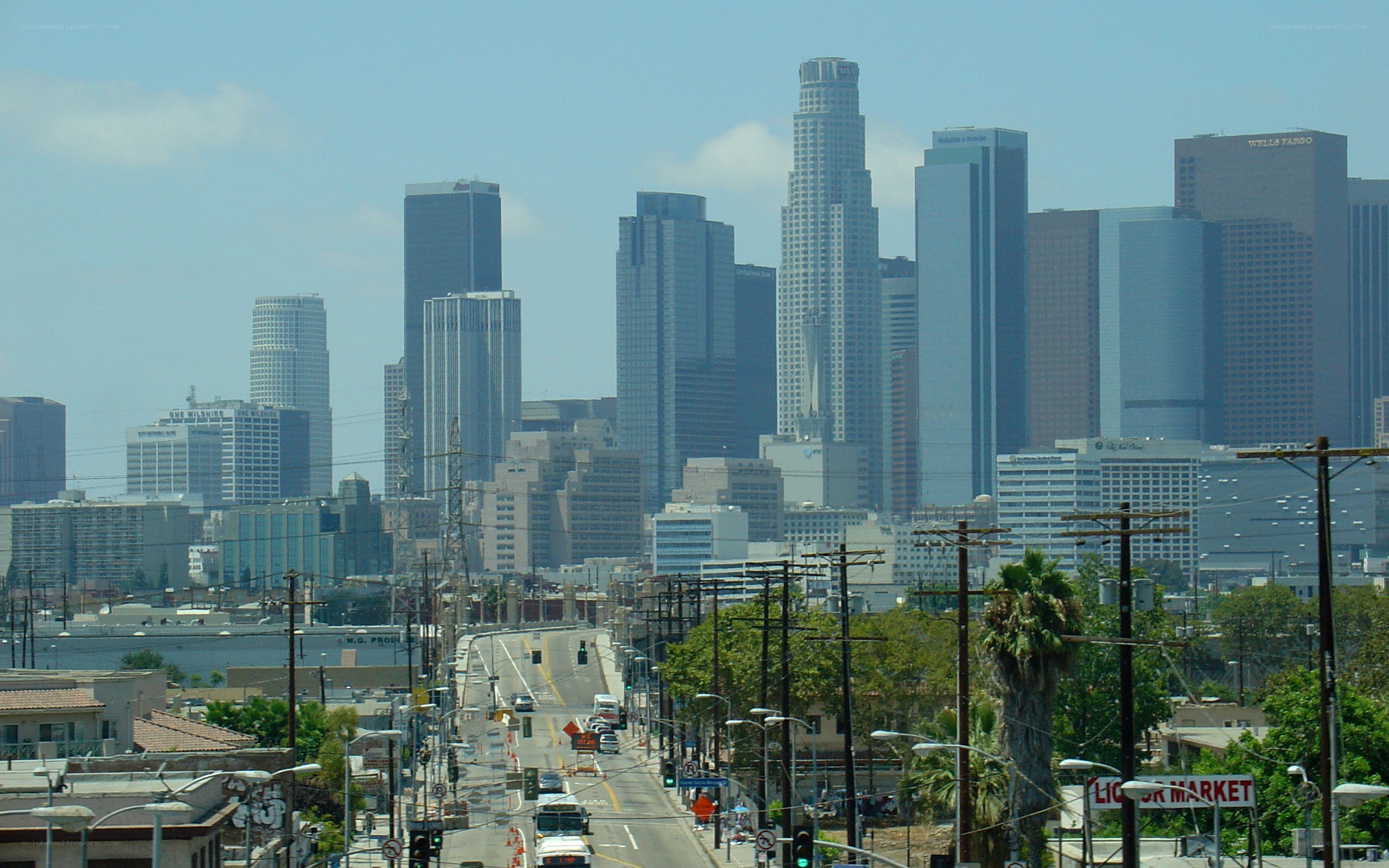 Los Angeles skyline view