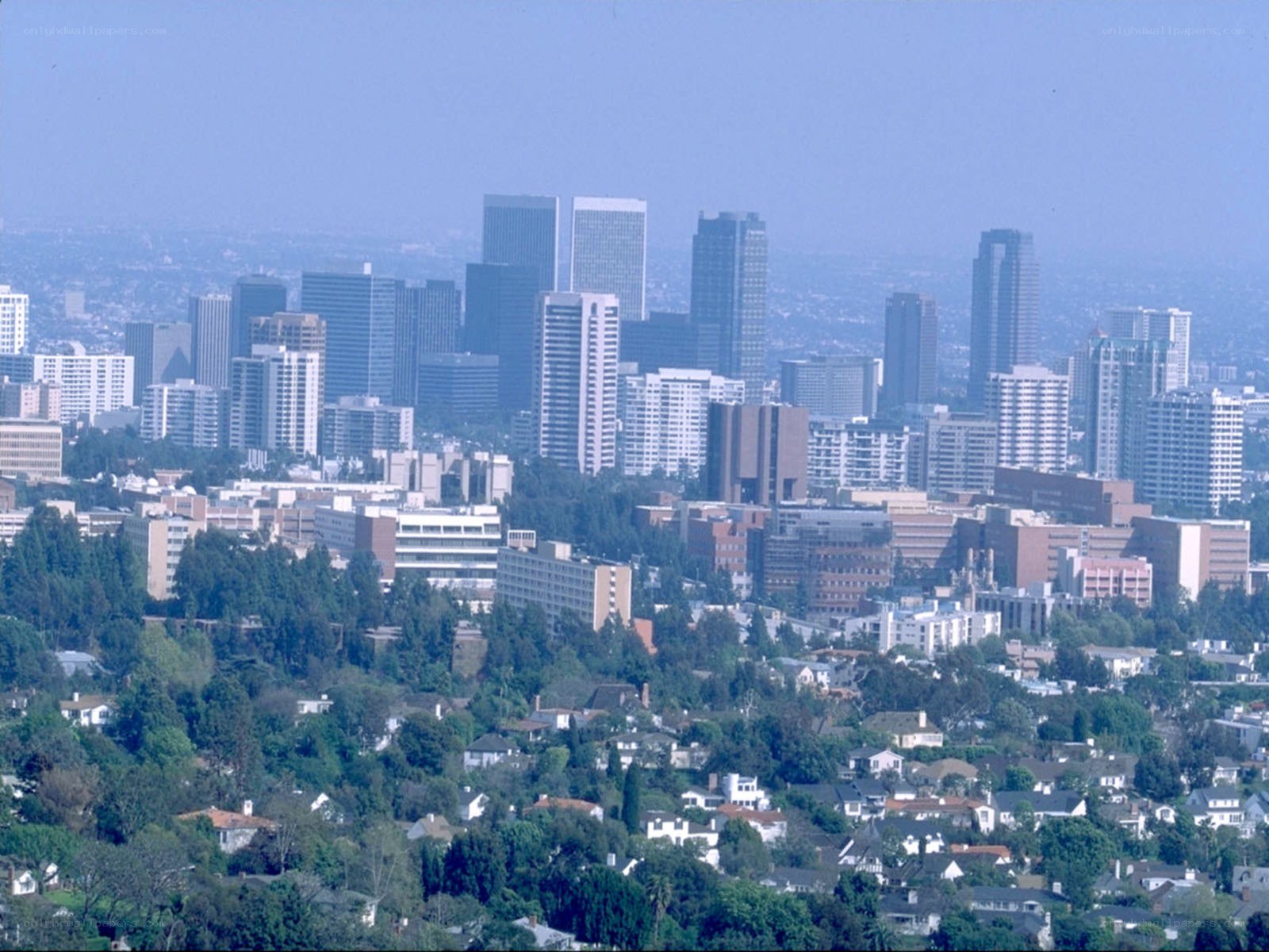 Los Angeles skyline view