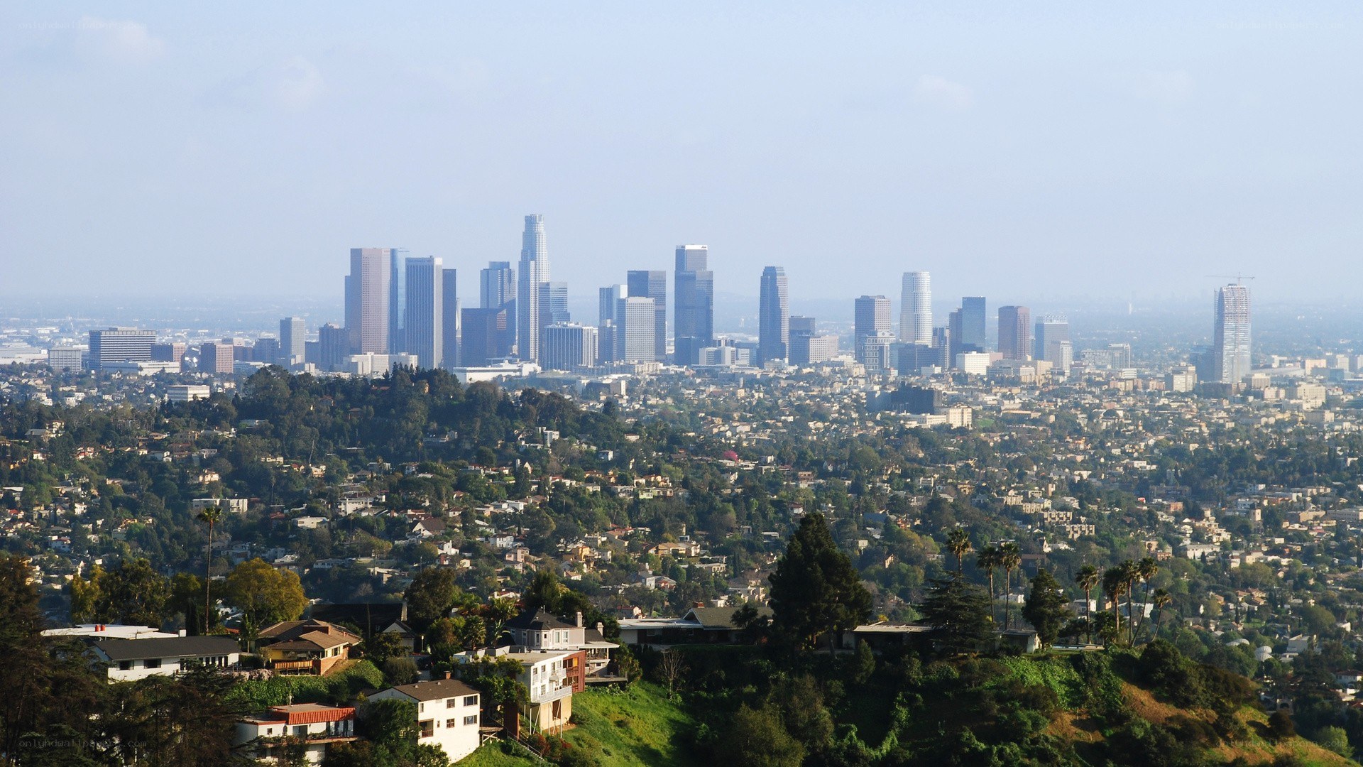 Los Angeles skyline view