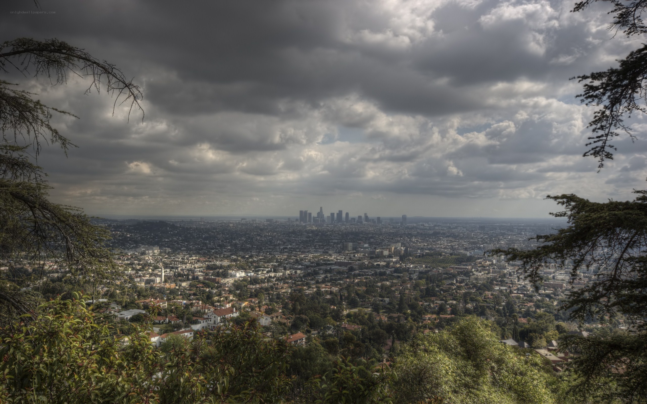 Los Angeles skyline view