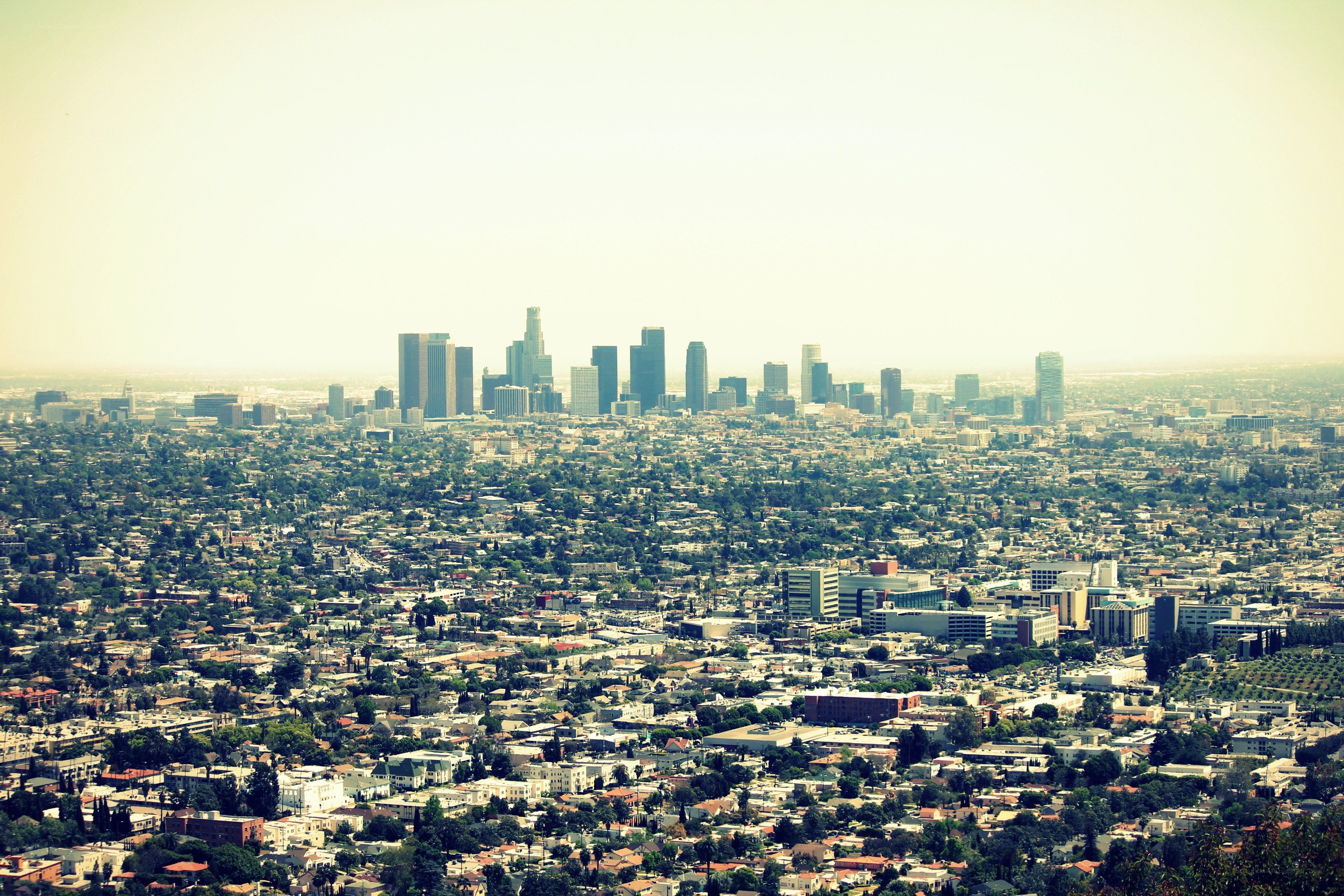 Los Angeles skyline view