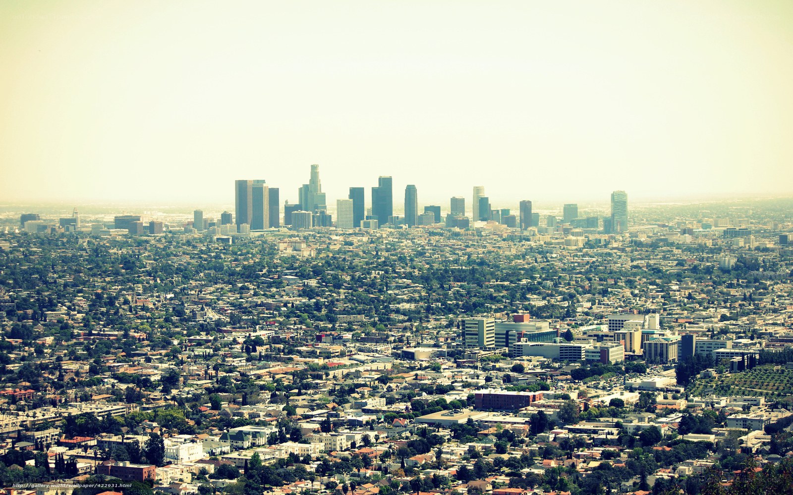 Los Angeles skyline view