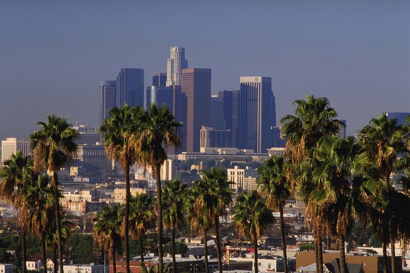 Los Angeles skyline with palm trees