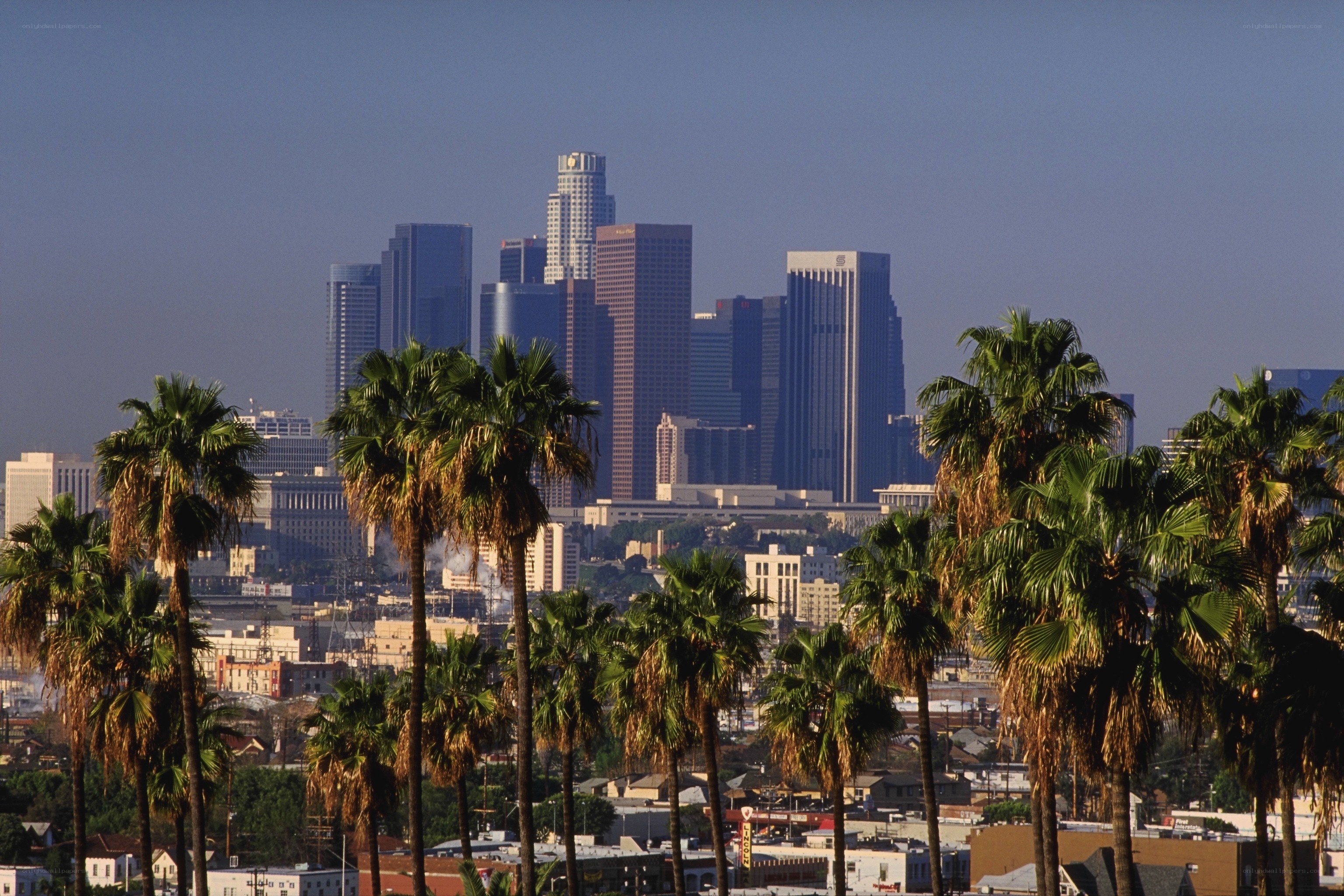 Los Angeles skyline with palm trees