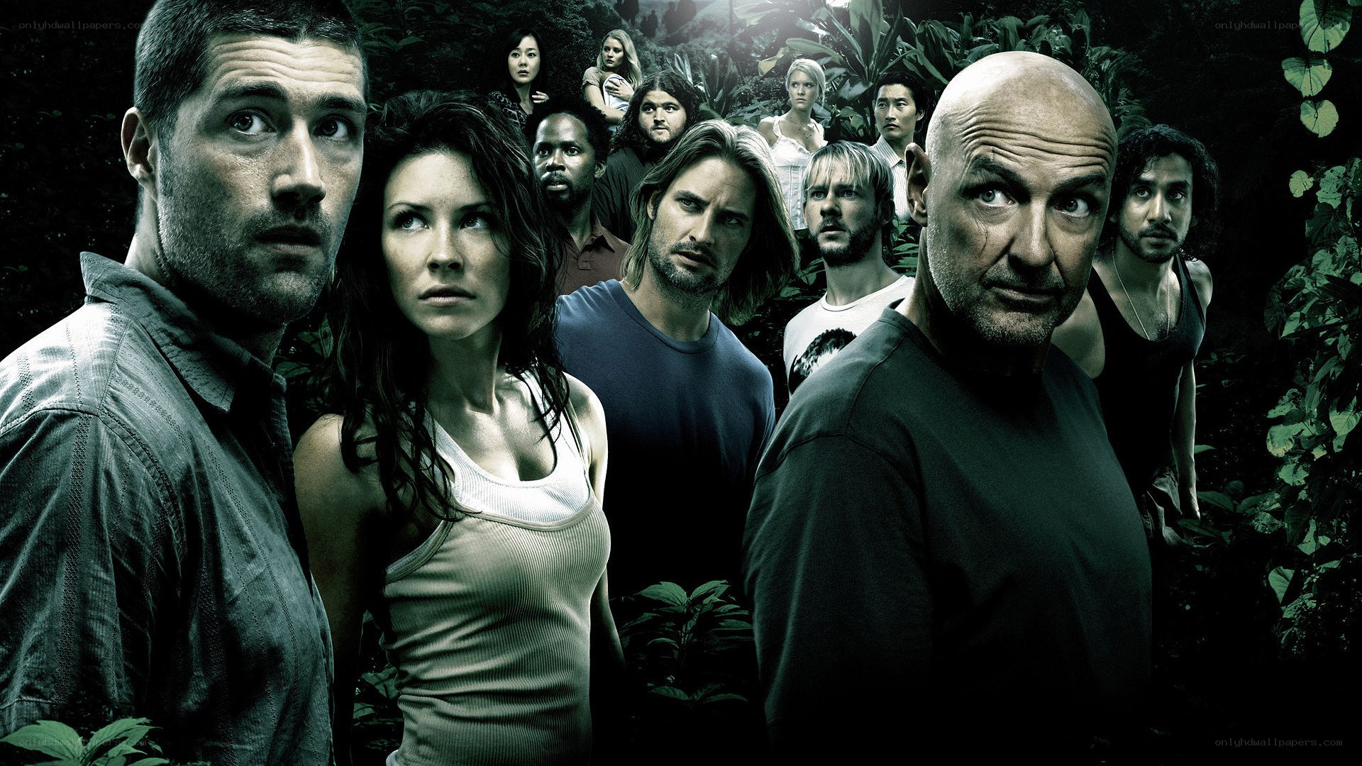 Lost cast in jungle