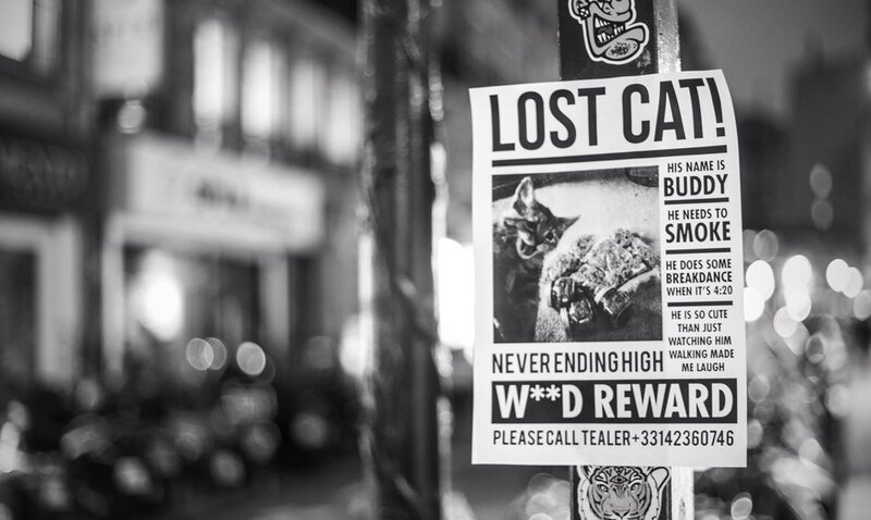 Lost Cat Poster