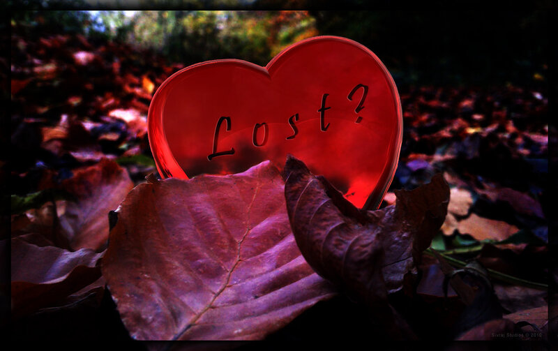 Lost heart in autumn leaves