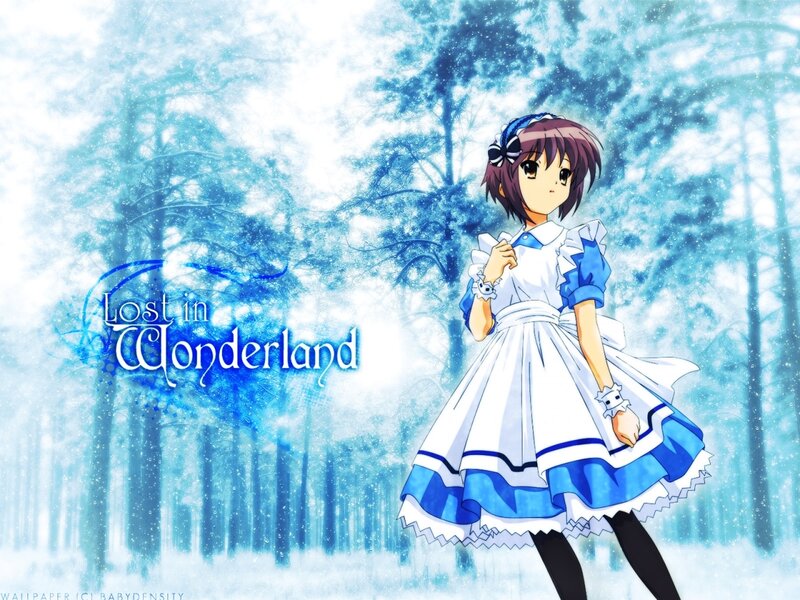 Lost in Wonderland