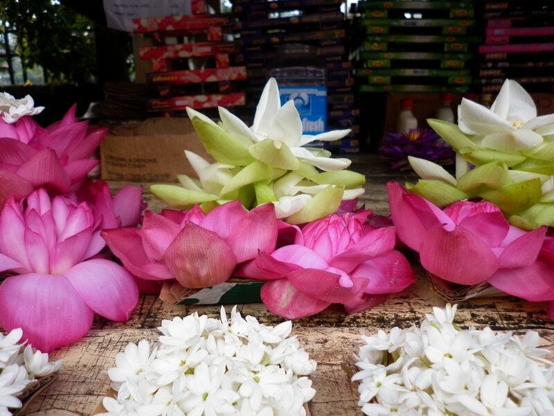 Lotus and Jasmine Flowers