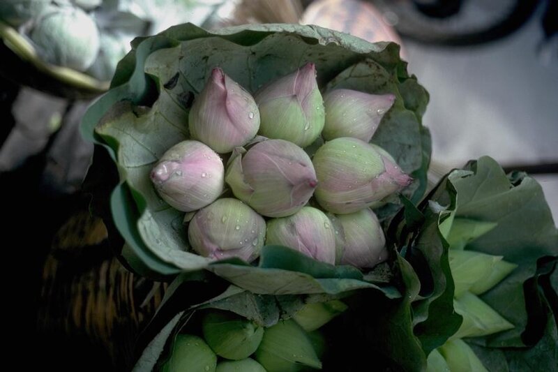 Lotus buds in a leaf basket