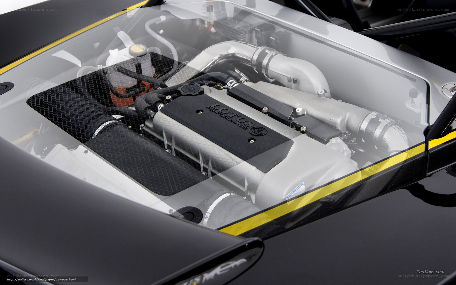 Lotus engine bay view