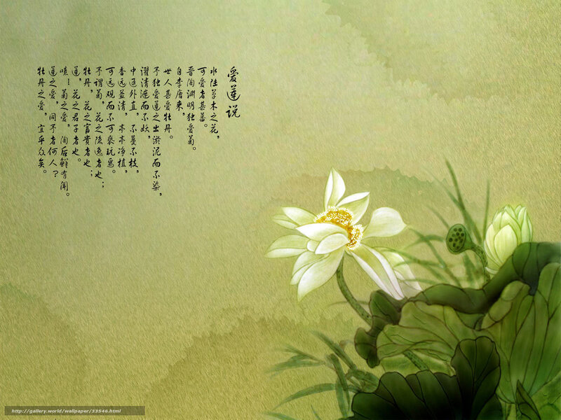 Lotus Flower and Poetry