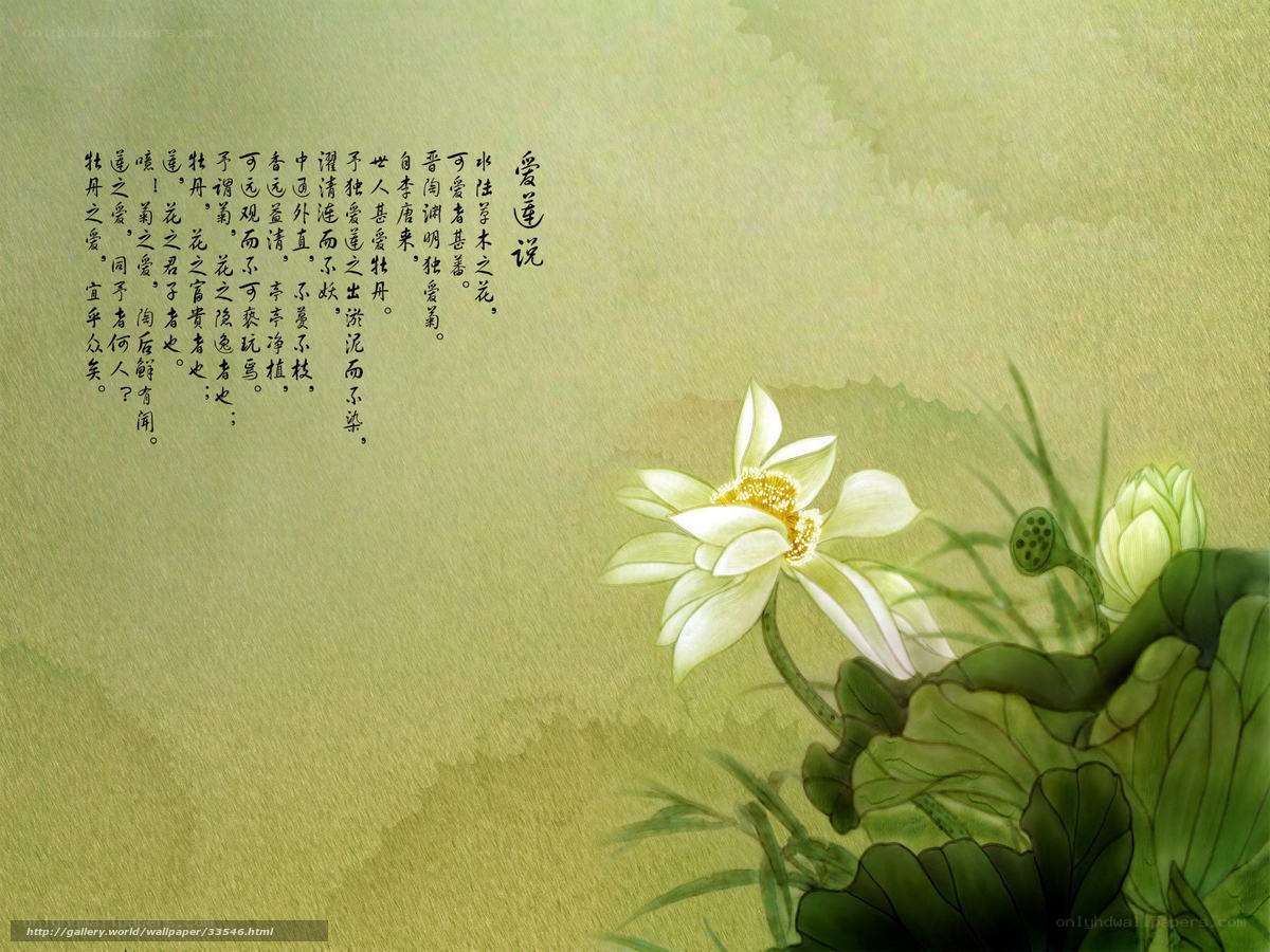 Lotus Flower and Poetry
