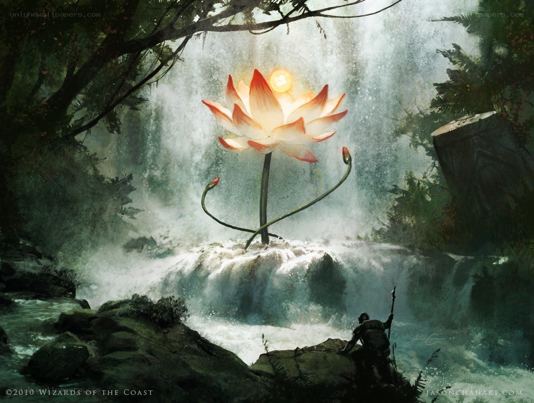 Lotus flower in a waterfall