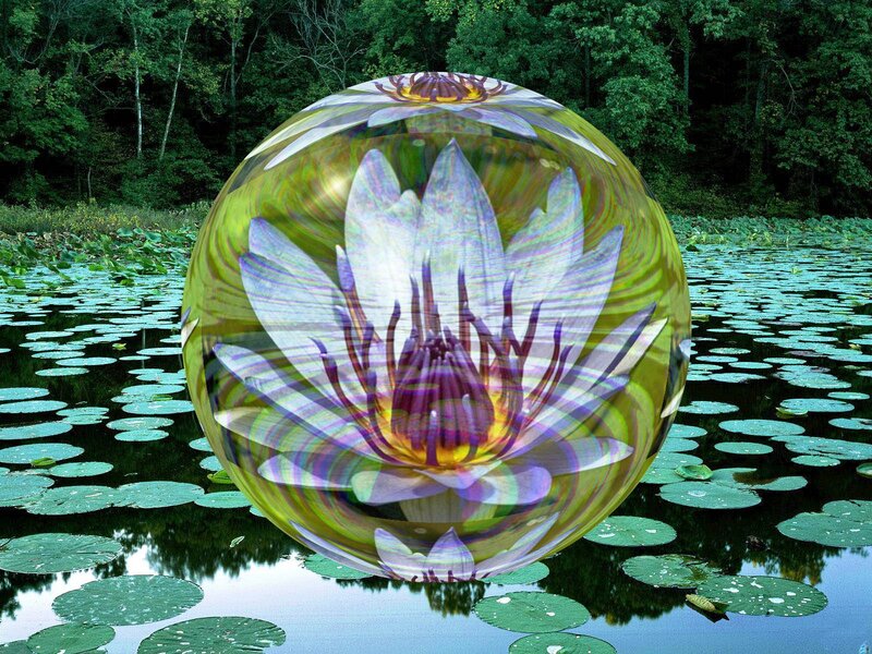 Lotus Flower in Sphere
