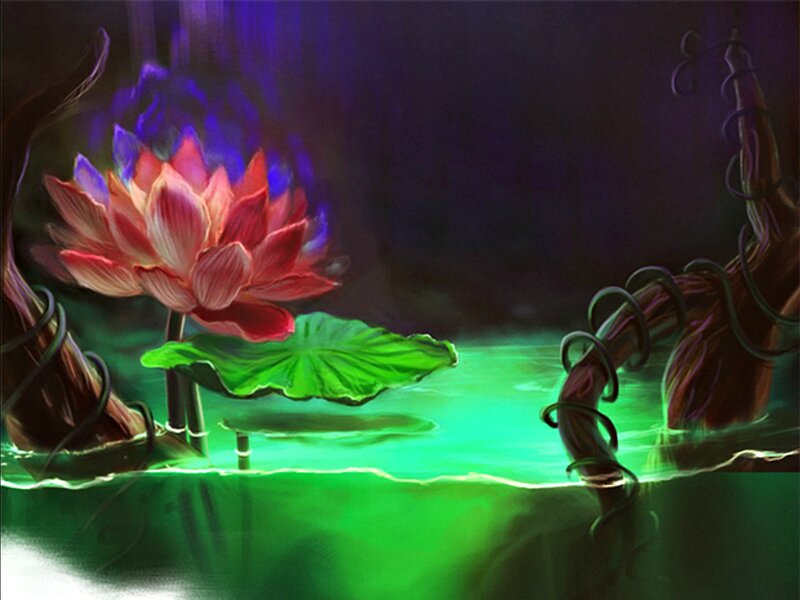 Lotus Flower in Water — Green